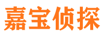 大宁侦探公司